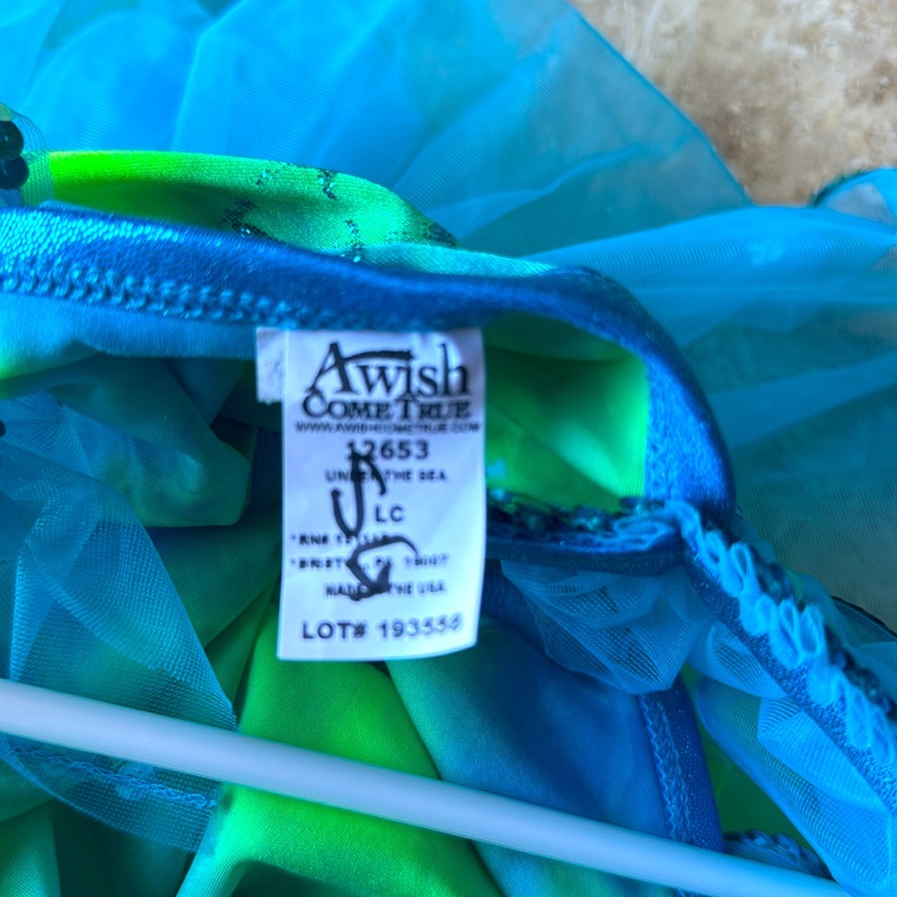 A Wish Come True Blue and Green Kids Dance Costume - Picture 5 of 5